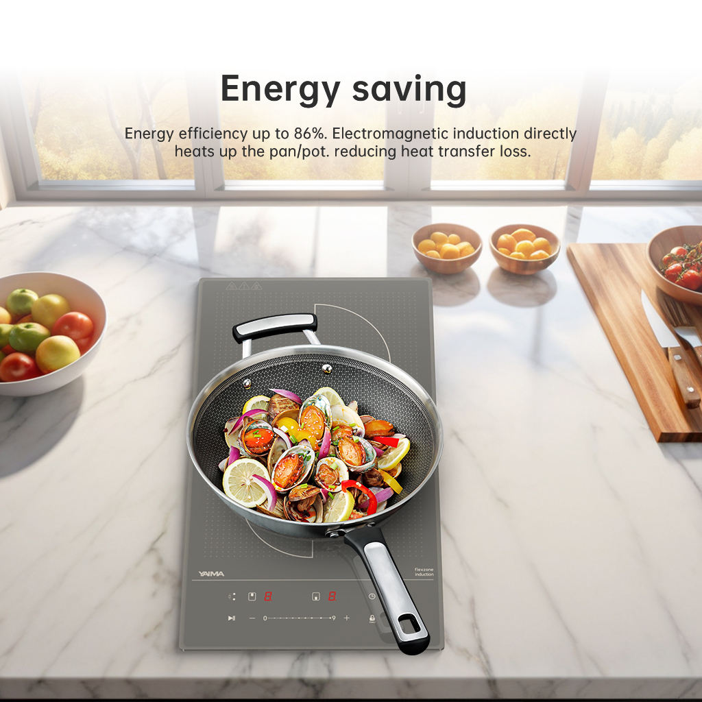 High Power 3000W Built-in Induction Cooker Electric Cooktop Stove 2 Burner Plastic Hobs 9 Stage Power Setting Temperature